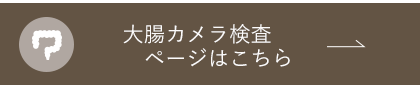 大腸カメラ検査ページはこちら