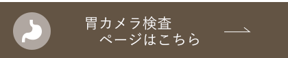 胃カメラ検査ページはこちら